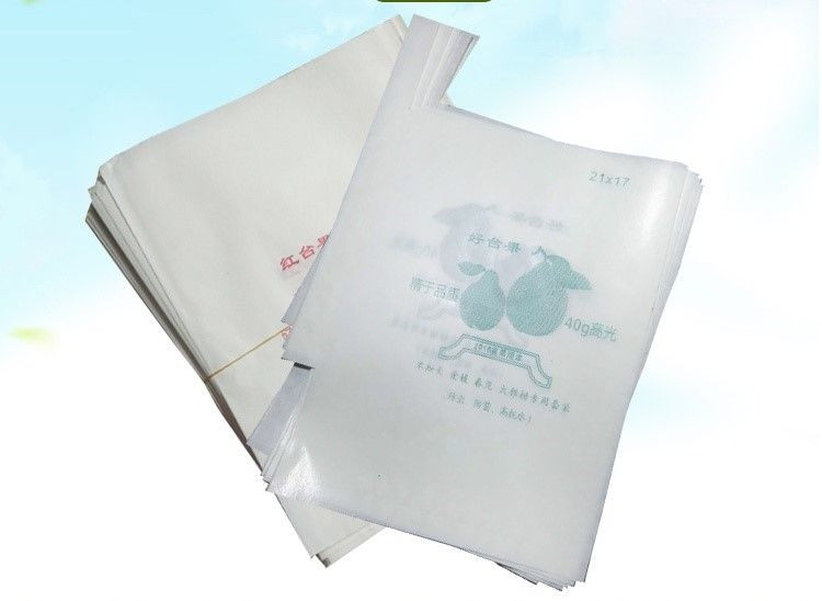 Orange protection bags for optimal fruit growth and quality