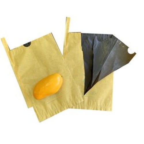 Mango protection bags for optimal fruit preservation