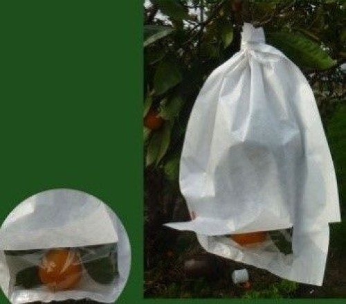 Wax Apple Protection Bags