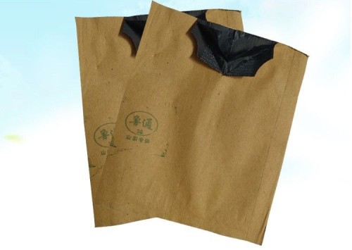 Peach protection bags for optimal fruit growth and quality